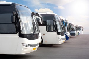 big tourist buses on parking